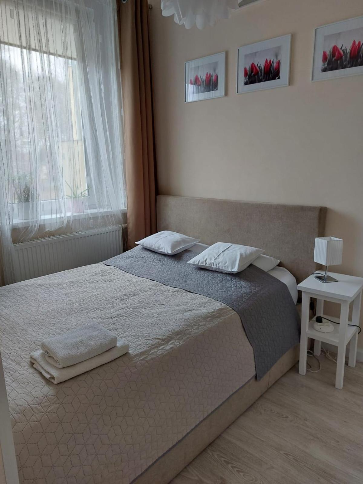come&stay Zielona Góra Esterno foto